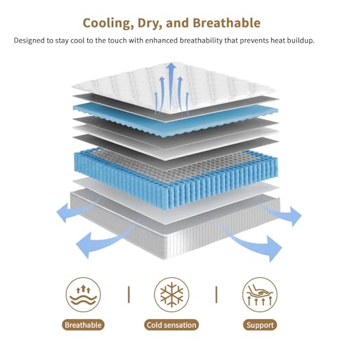 Queen Mattress, 14 Inch Hybrid - Memory Foam Mattress In A Box Queen ulasan dan harga